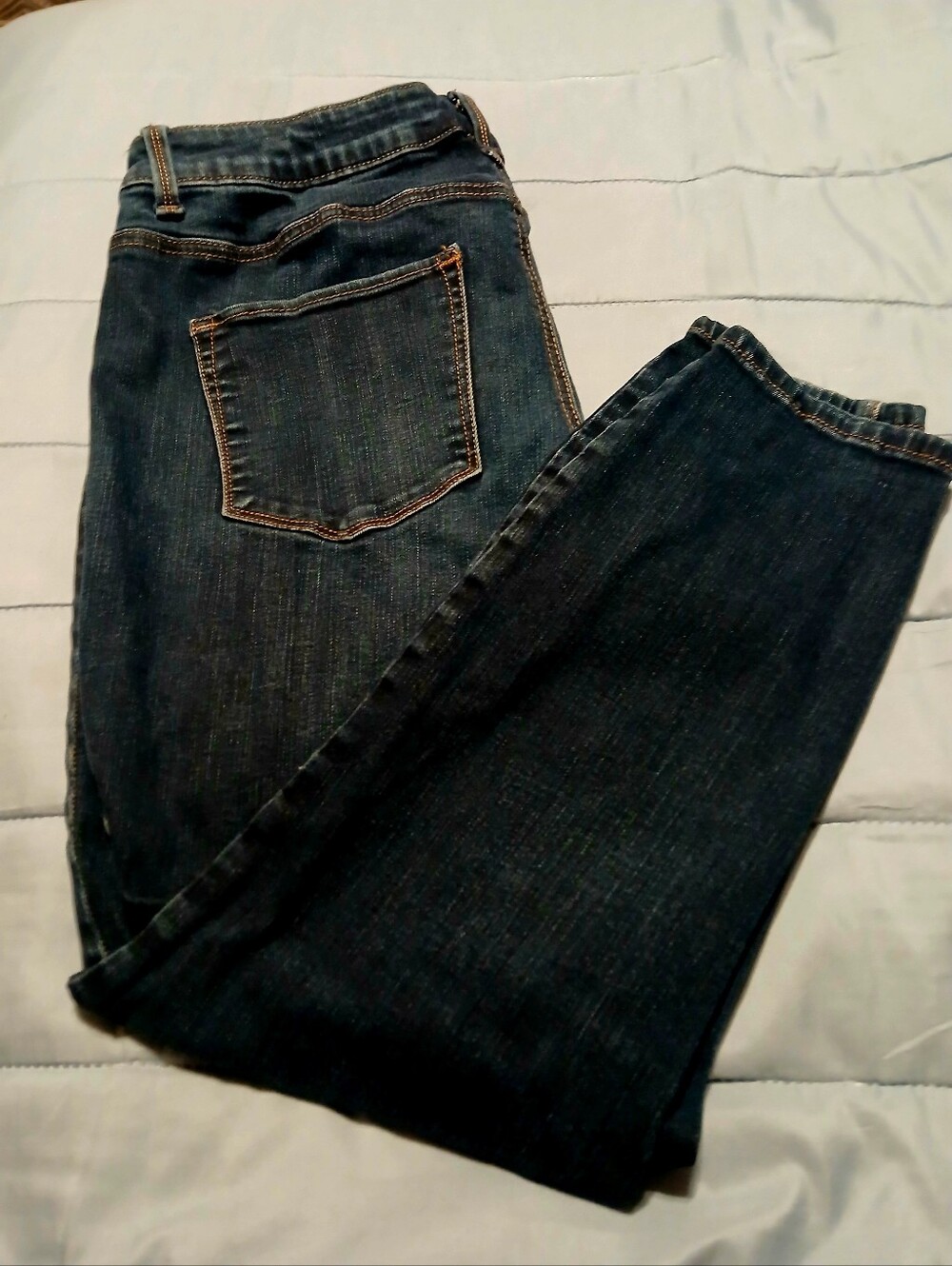 Maurices Dark Blue Women’s Jeans - Classic Straight Fit 16W Short
